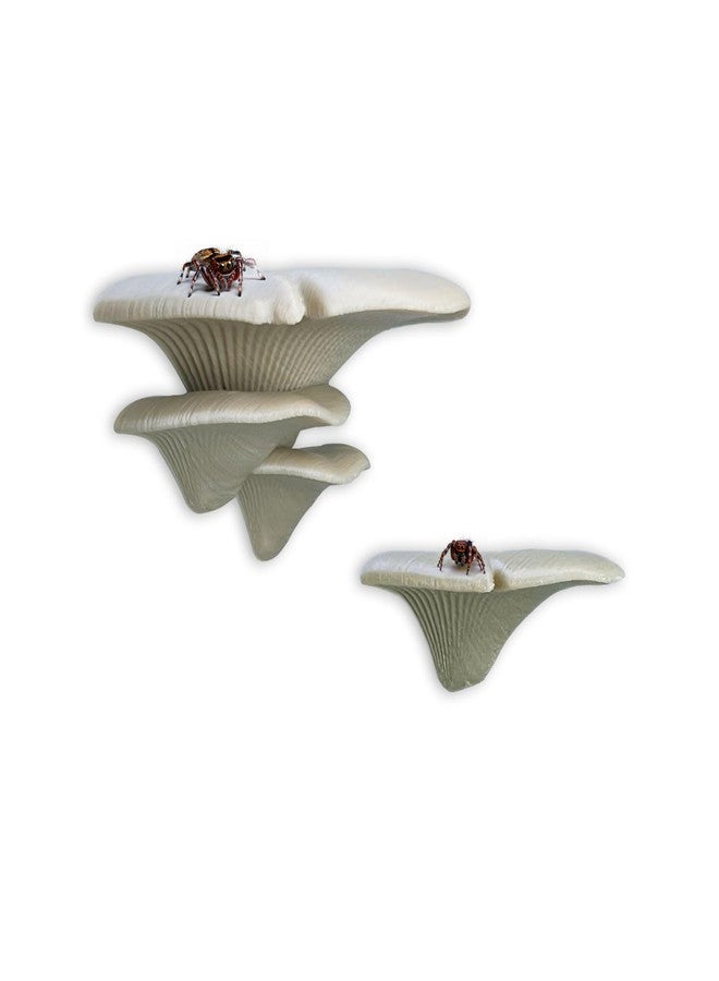 Daerky Jumping Spider Mushroom Shelf, Magnetically Concealed Jumping Spider Habitat,Serves As Enclosure Decorate Accessories for Spider Climbing Feeding and Platforms (Simulated wood) - Image 1